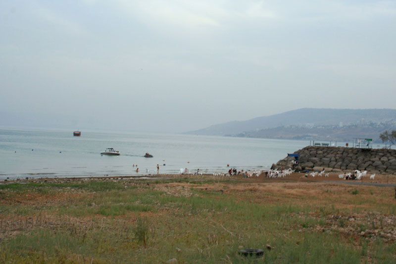 Sea of Galilee Mormon